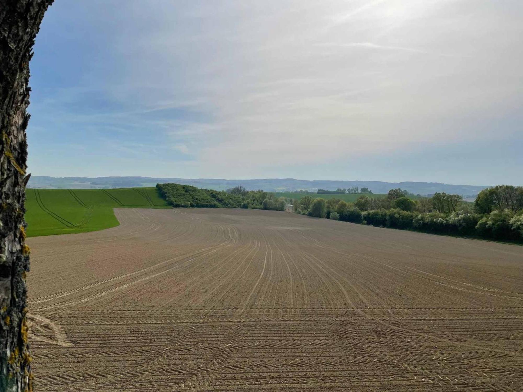 Appartement Am Brunnenplatzl Mit Bademantelzugang Bad Griesbach  Bagian luar foto