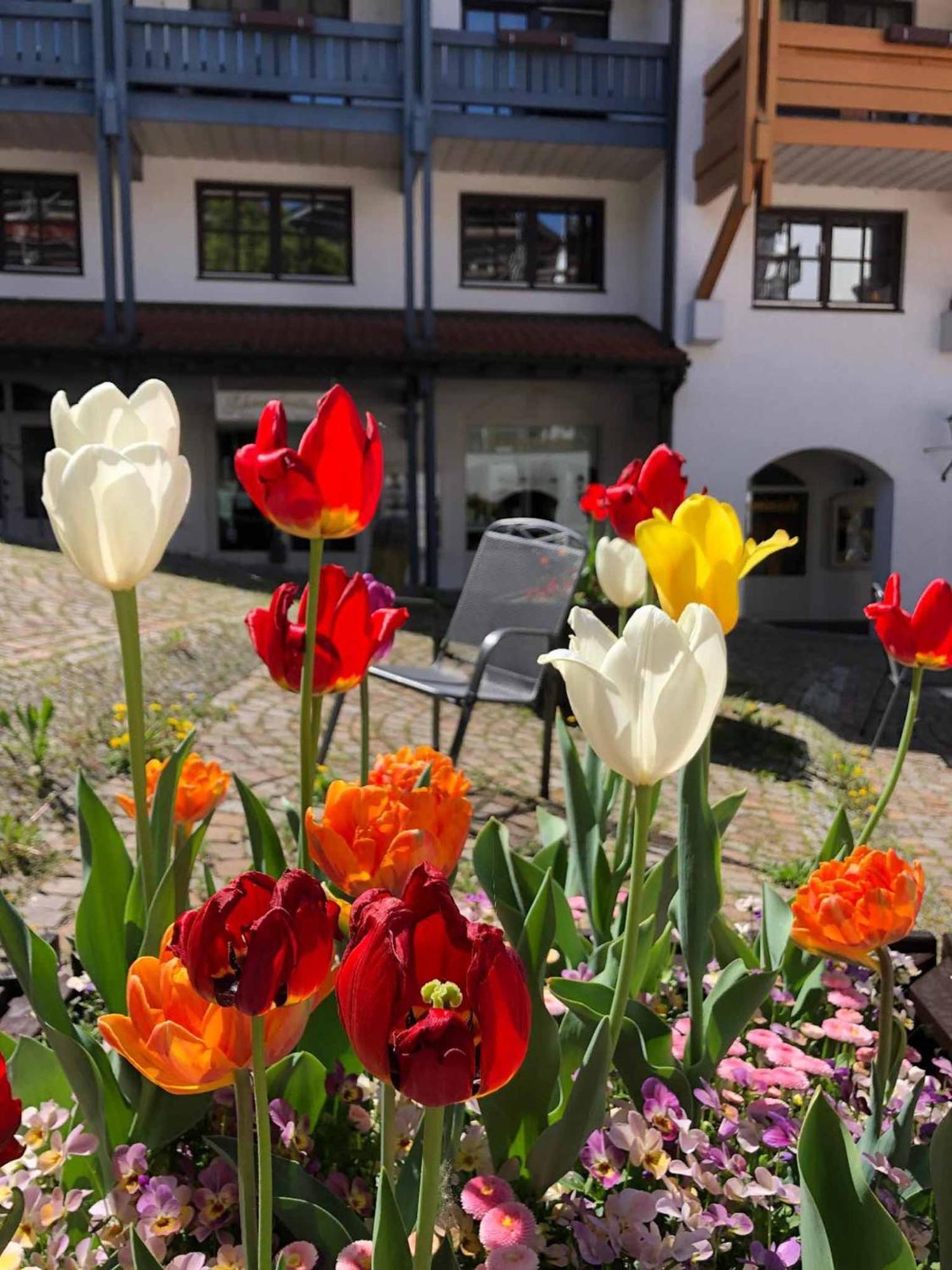 Appartement Am Brunnenplatzl Mit Bademantelzugang Bad Griesbach  Bagian luar foto